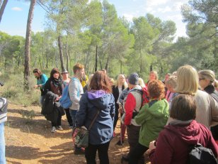 Mallorca Sille_6478 · © Silke Krohn